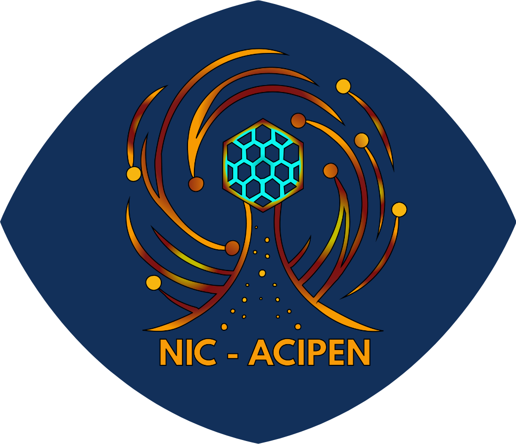 Logo NIC